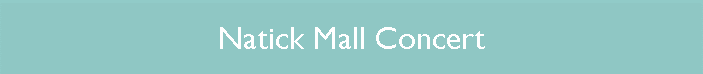 Natick Mall Concert